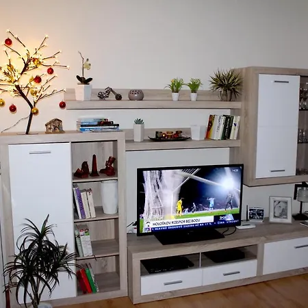 Pine Wood * Vyšné Ružbachy