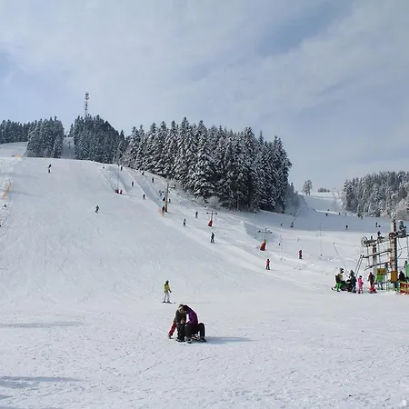 Pine Wood Apartment Vysne Ruzbachy