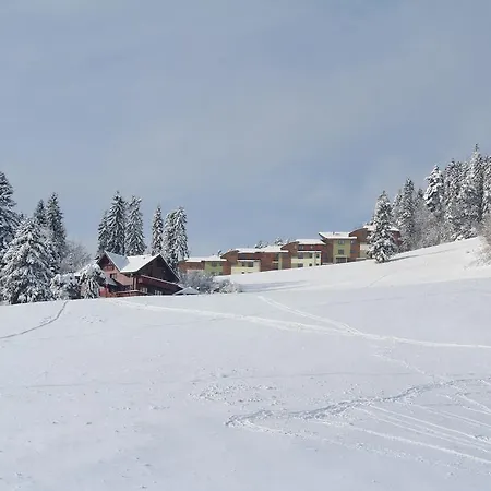 Pine Wood * Vysne Ruzbachy