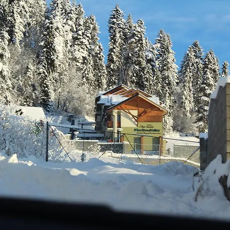 Pine Wood * Vysne Ruzbachy