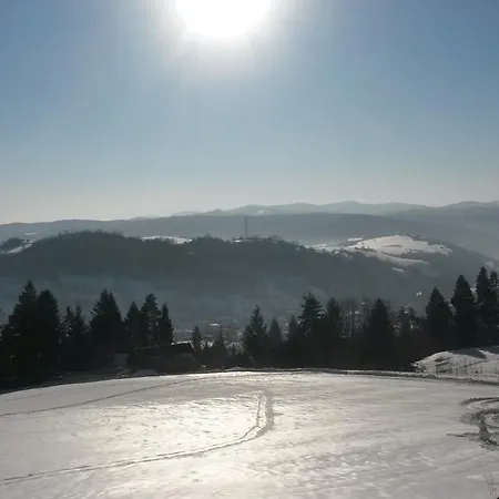 Apartment Pine Wood Vysne Ruzbachy