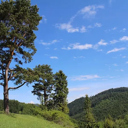 Apartment Pine Wood Vysne Ruzbachy