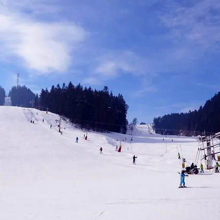 Apartment Pine Wood *