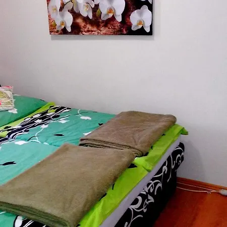 Pine Wood Apartment