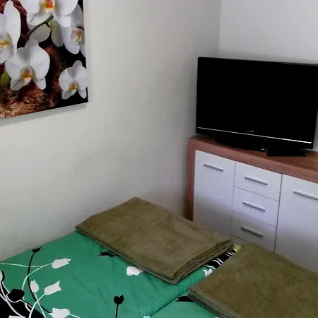 Pine Wood * Vysne Ruzbachy