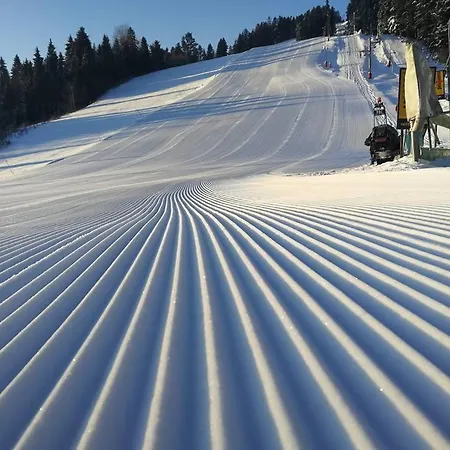 Pine Wood *